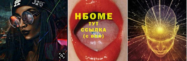 прущий лед Анива