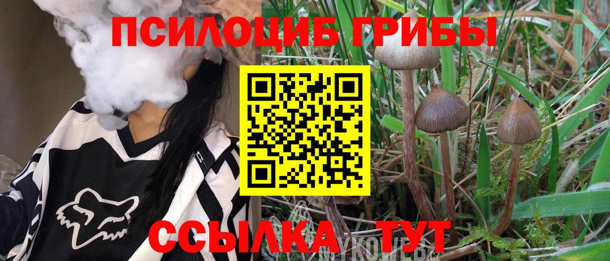 Кокаин  MDMA  ЭКСТАЗИ  Мефедрон кристаллы  Меф МЯУ МЯУ   Гашиш  ГАШ  Канаш  A PVP СОЛЬ   АМФ   Канабис 