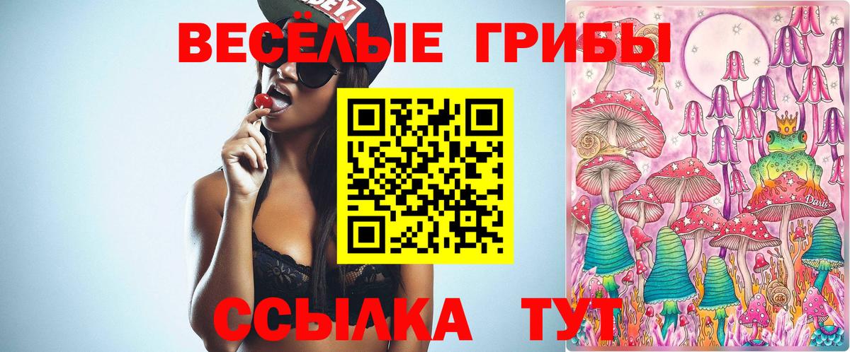 Галлюциногенные грибы мицелий  Канаш  Псилоцибиновые грибы Cubensis 