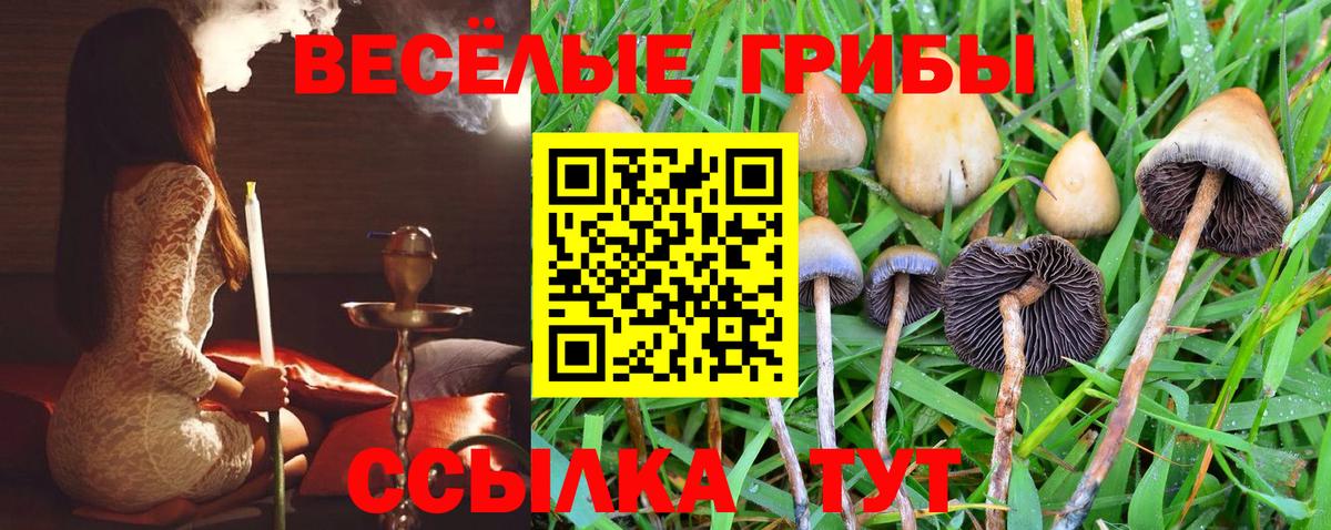Галлюциногенные грибы мухоморы Канаш