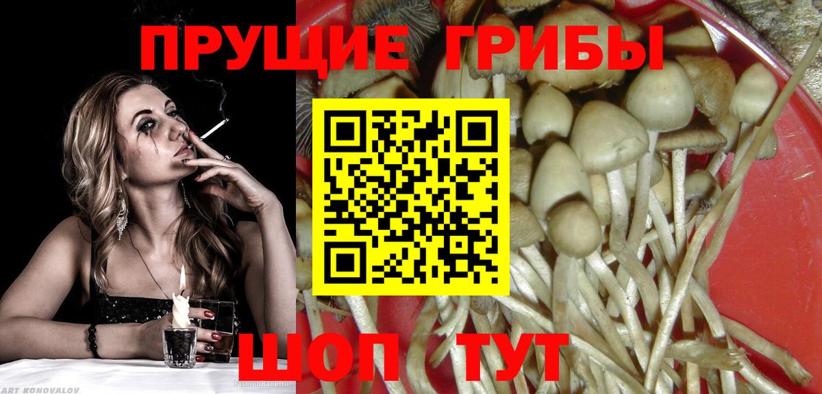 Псилоцибиновые грибы GOLDEN TEACHER  Псилоцибиновые грибы MAGIC MUSHROOMS  Канаш  Вход с VPN 
