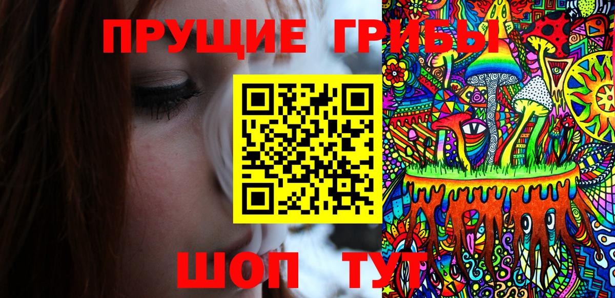 Галлюциногенные грибы прущие грибы Канаш