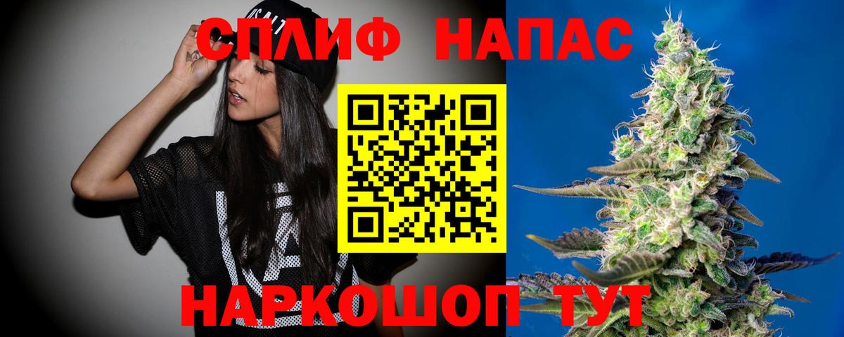 Канаш  Бошки Шишки планчик  Каннабис Amnesia  Канабис планчик  Шишки марихуана Ganja  Вход с VPN 